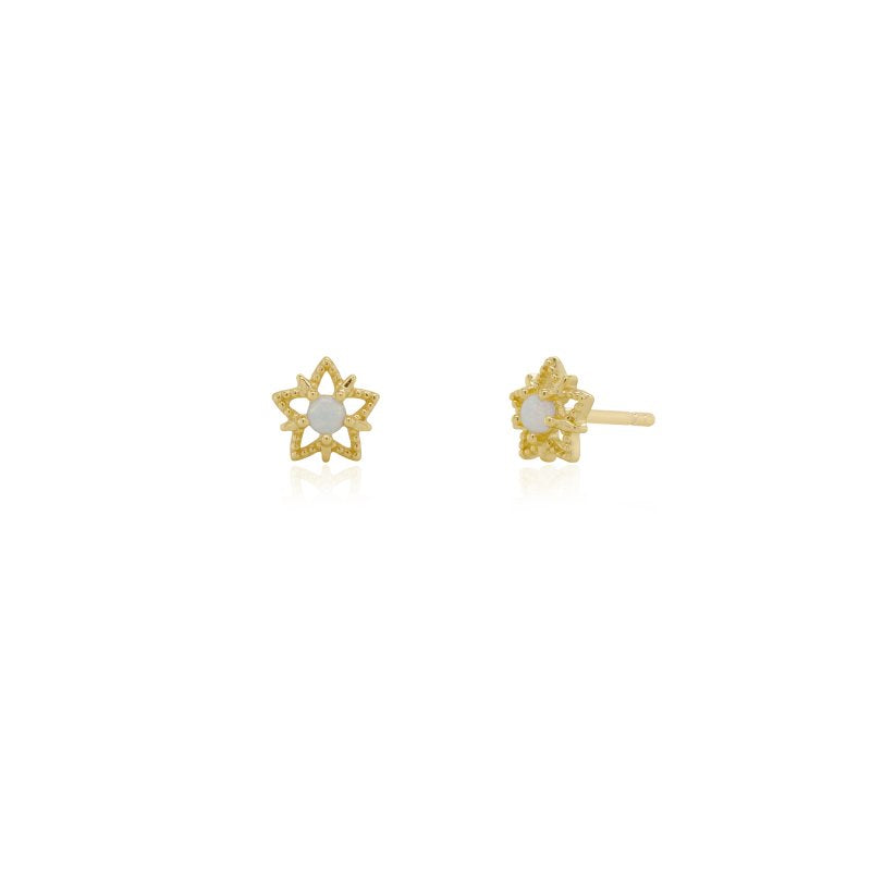 Sterling Silver Gold Vermeil Opal Cutout Star Stud Earrings (ST-1718)